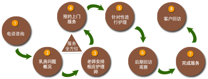 鷿,鷿,ʦѵ
